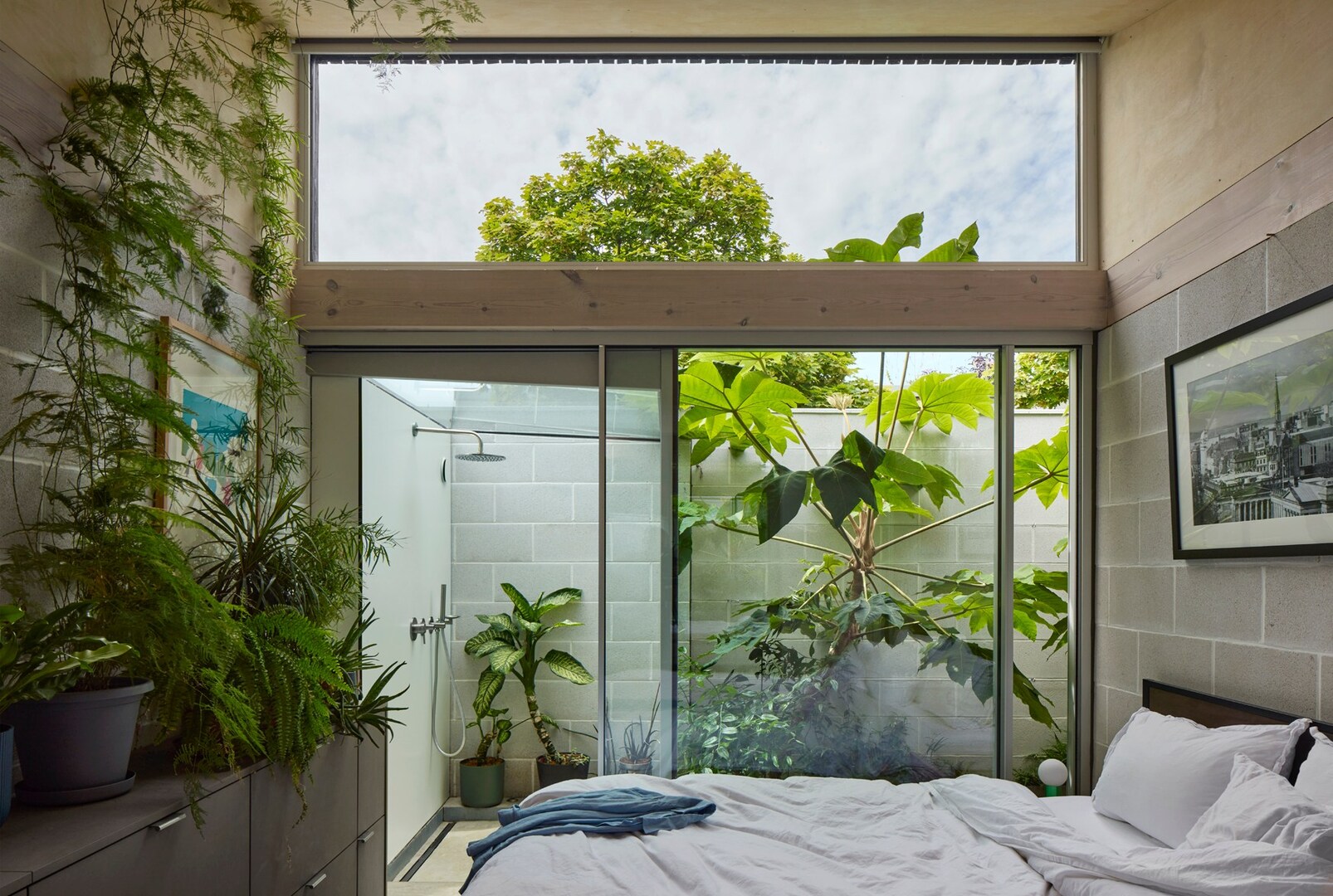 Bedroom with an indoor garden and glass shower visible through sliding glass doors.