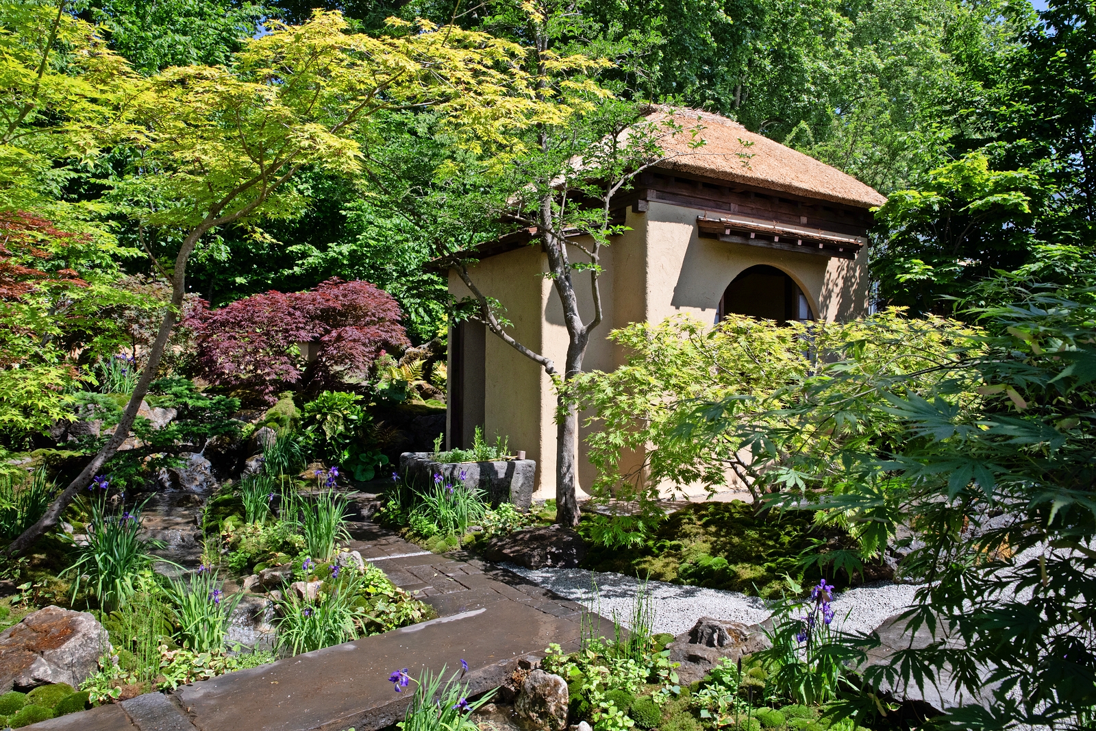 Japanese tea garden at the Chelsea Flower Show.