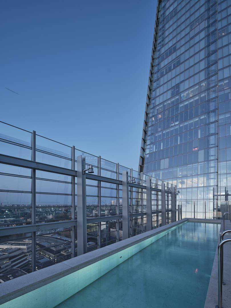 Rooftop pool overlooking city skyline.