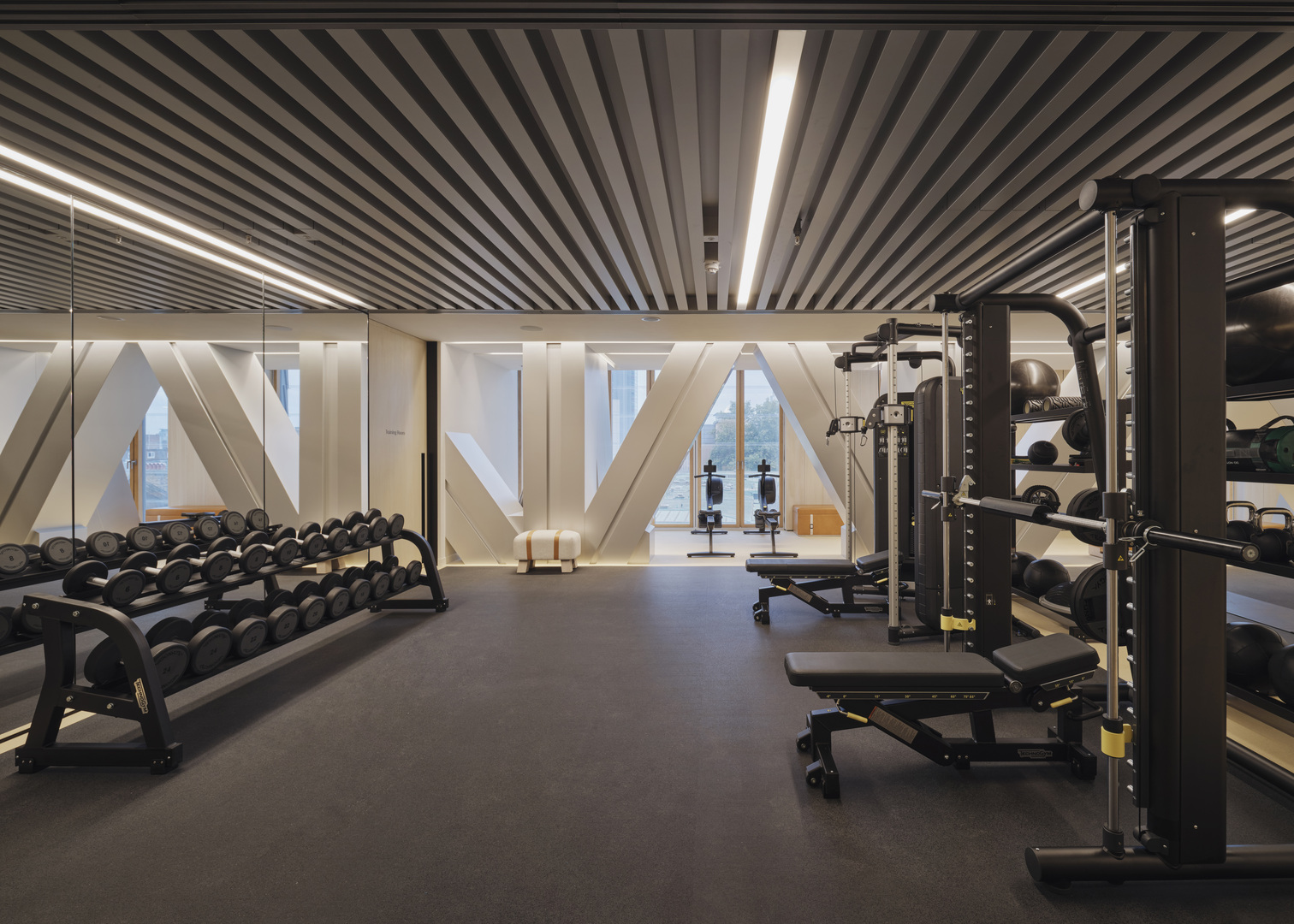 Modern gym with weight machines and dumbbells.