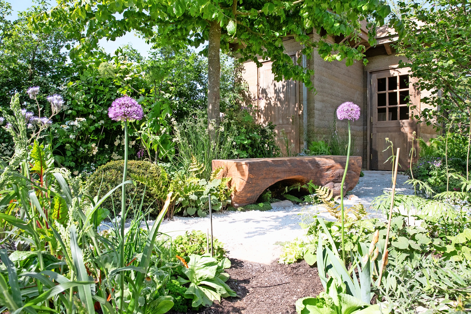 Garden scene with a rustic wooden bench and wildflowers.