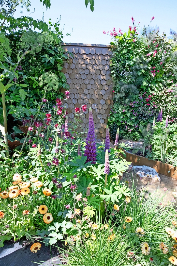 Chelsea Flower Show garden with purple lupines and other flowers.