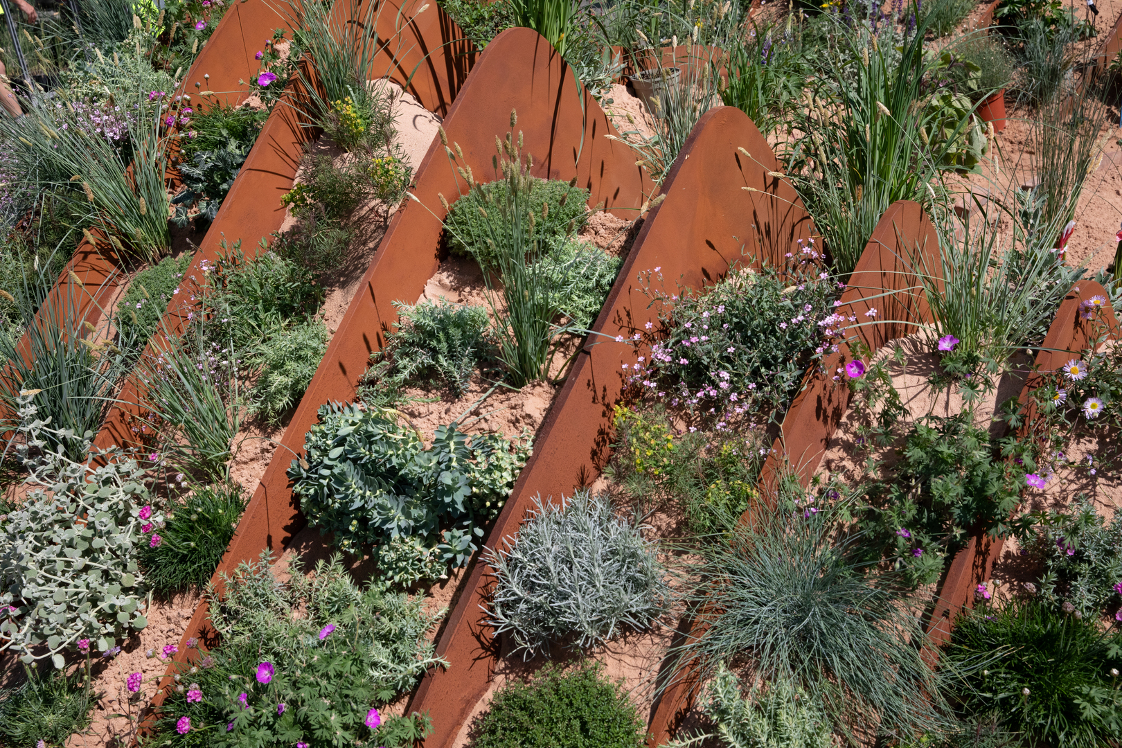 Chelsea Flower Show display of plants in rusted metal planters.